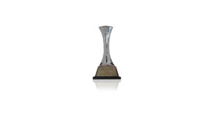 Board of the Year Awards 2015-2