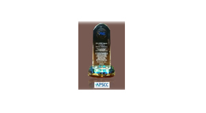 Satellite Executive of the Year in the Asia-Pacific